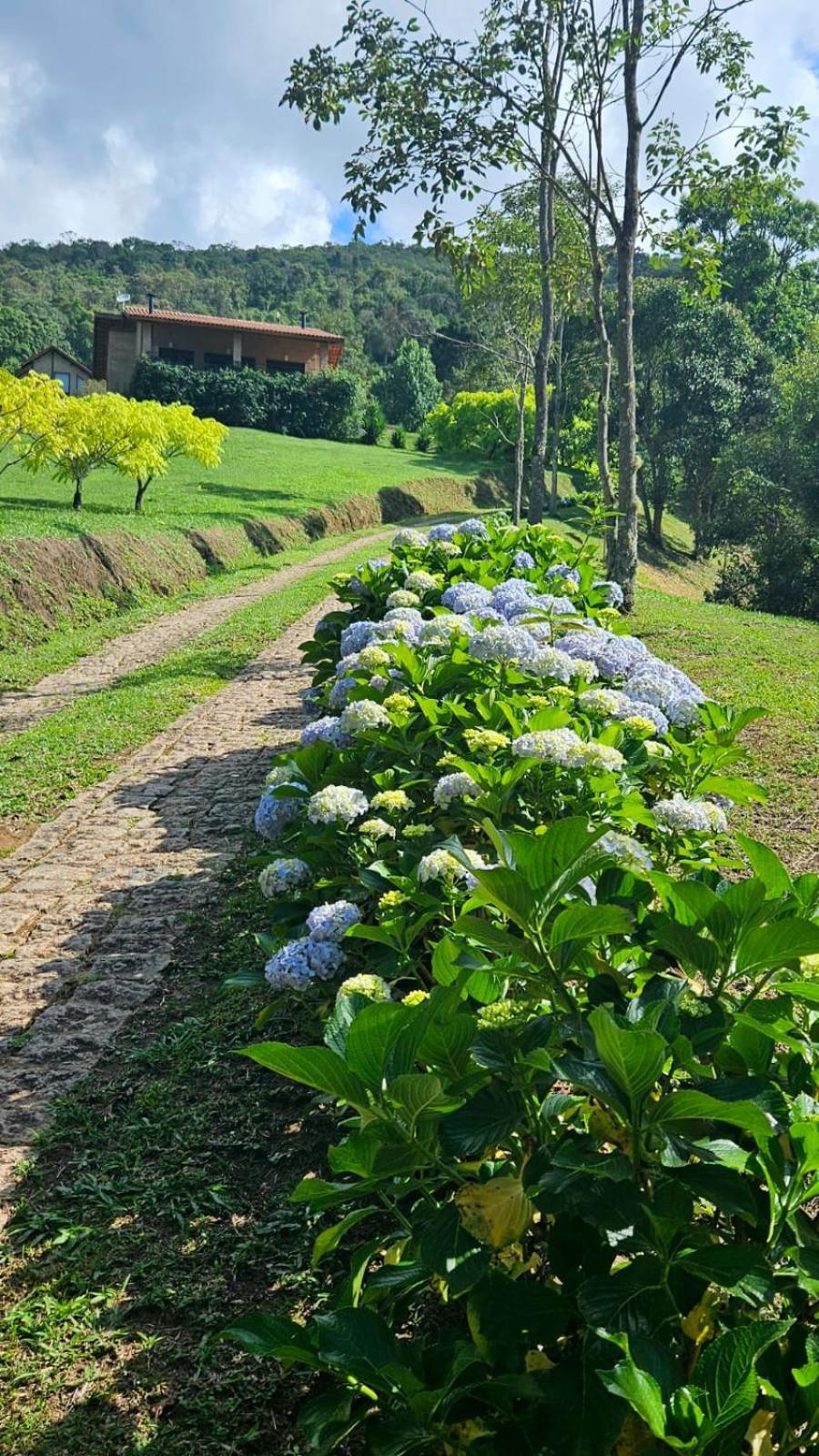Boa Vista Chalet Goncalves